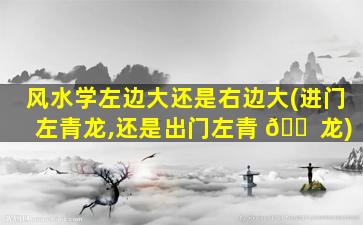 风水学左边大还是右边大(进门左青龙,还是出门左青 🐠 龙)
